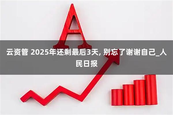 云资管 2025年还剩最后3天, 别忘了谢谢自己_人民日报