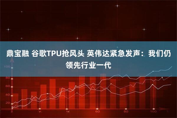 鼎宝融 谷歌TPU抢风头 英伟达紧急发声：我们仍领先行业一代