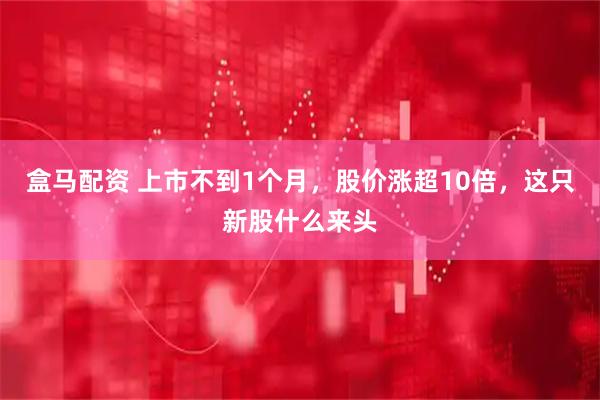 盒马配资 上市不到1个月，股价涨超10倍，这只新股什么来头